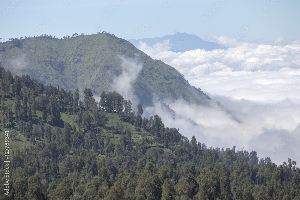 General landscape around Mt Bromo, Indonesia