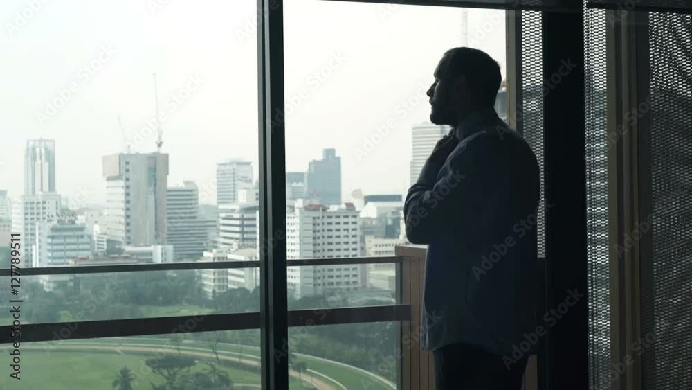 Young businessman dressing, preparing for work by window at home
Young businessman dressing, preparing for work by window at home