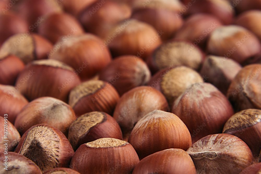 Hazelnut background. Pile of selected hazel close-up. For vegetarians. Hazelnut background. Pile of selected hazel close-up. For vegetarians.