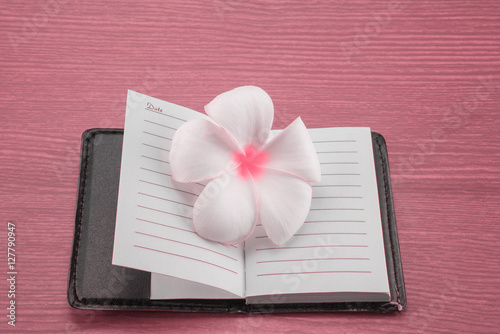 Abstract Blurry of Flower on book and colorful background. Beautiful flowers made with colorful filters. photo