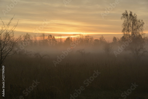 Morgens am Waldrand © hecht7