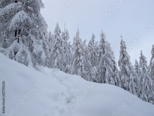 Winter Wanderweg Schneeschuh © DerL