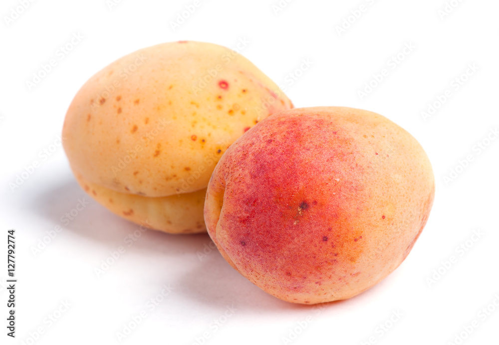 Real apricots isolated