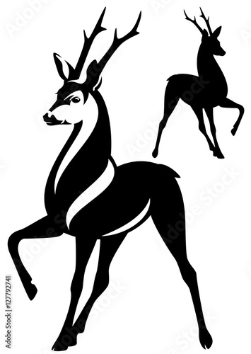 graceful deer black and white vector design and silhouette