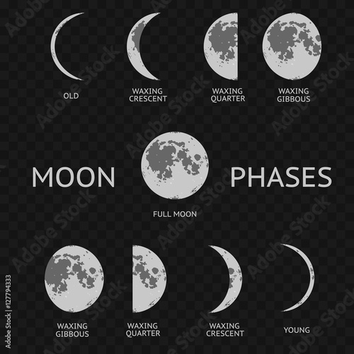 Obraz na płótnie Phases of moon. Whole Astronomy Cycle. Vector