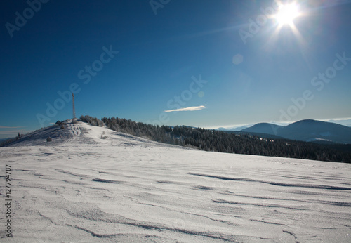 Winter landscape snow mountain pine forest in sunshine © okostia