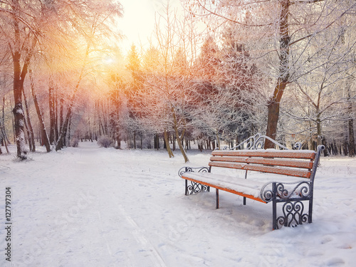 Park bench and trees covered by heavy snow