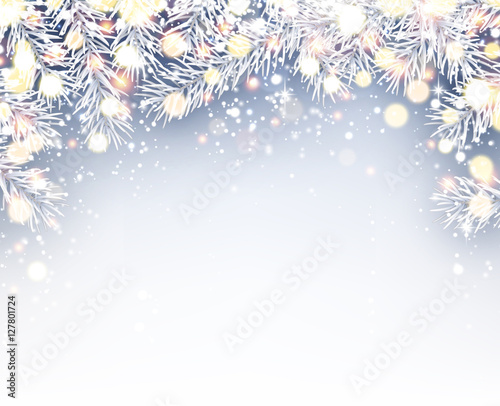 Winter background with fir branches.