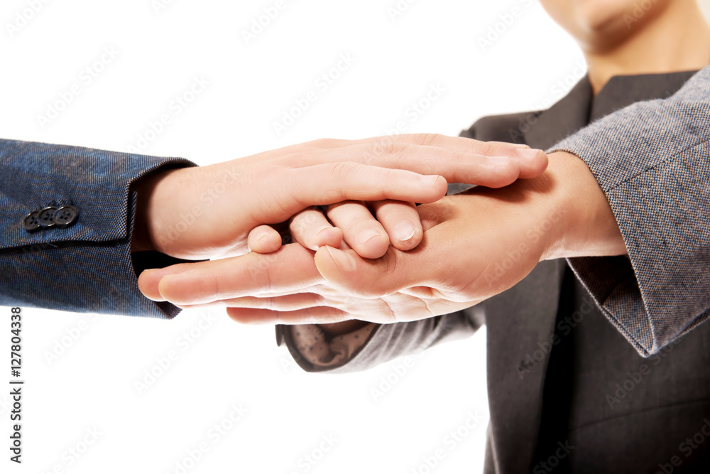 Fototapeta premium Business team with their hands together