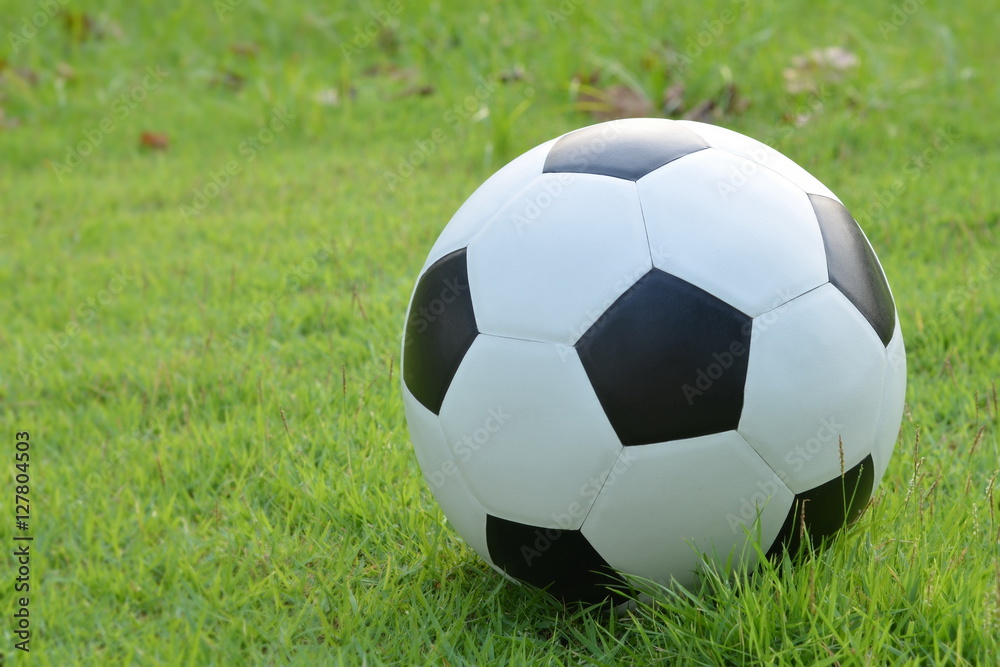 Football or soccer ball on the lawn,outdoor activities.