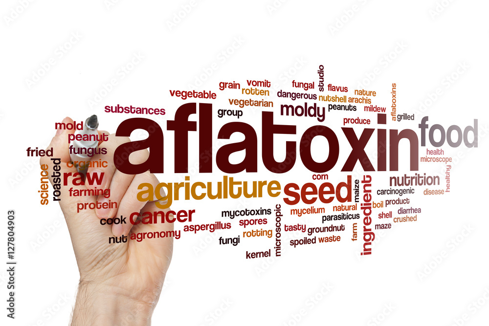 Aflatoxin word cloud