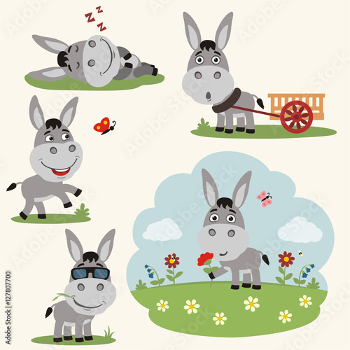 Vector set funny donkey in different poses on summer meadow with flowers. Collection donkey in cartoon style.