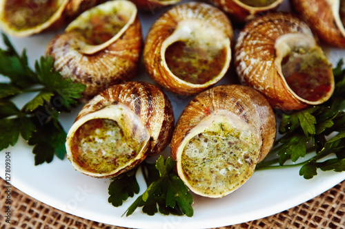 Escargots de Bourgogne - Snails with herbs butter, gourmet dish in French traditional  with parsley and bread on white platter