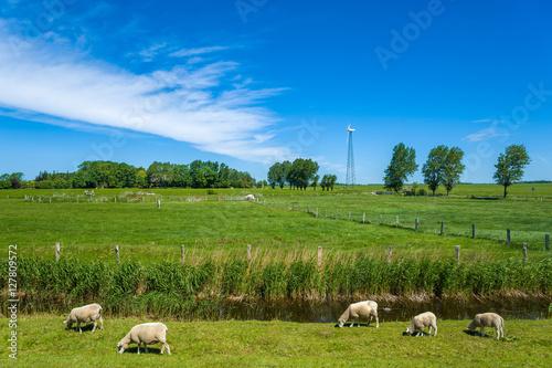 Am Hochwasserdamm in Lemkenhafen auf Fehmarn