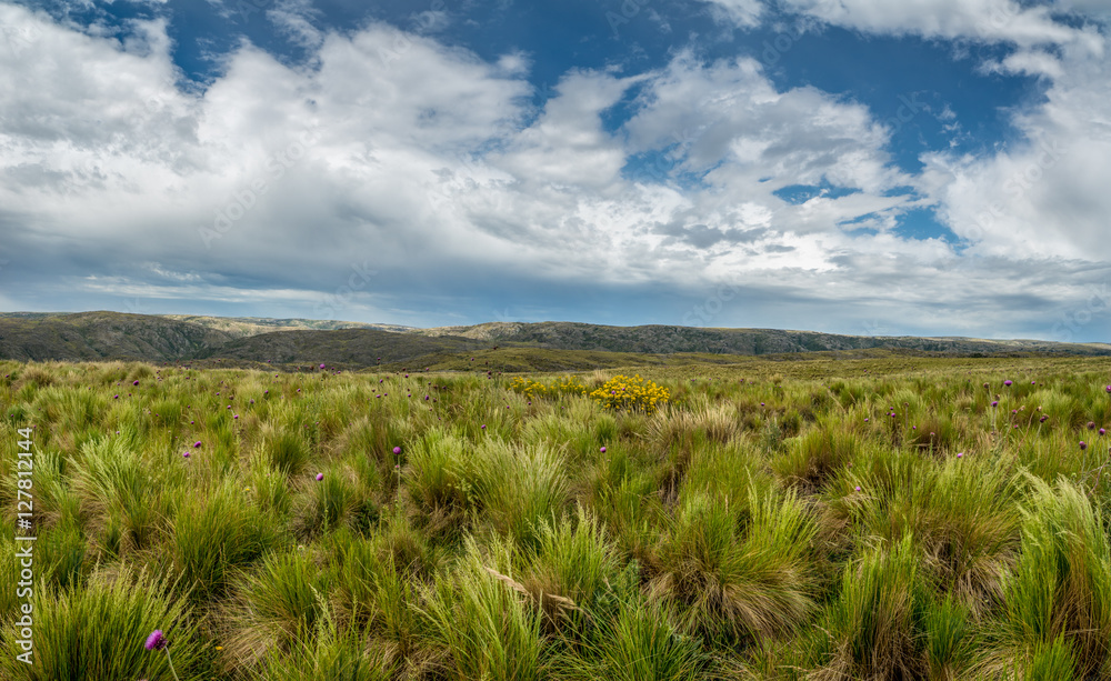 Gras-Landschaft im Parque Nacional Quebrada del Condorito Gras-Landschaft im Parque Nacional Quebrada del Condorito