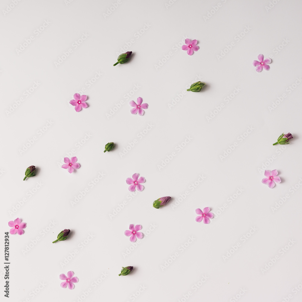 Pink flowers and buds pattern.