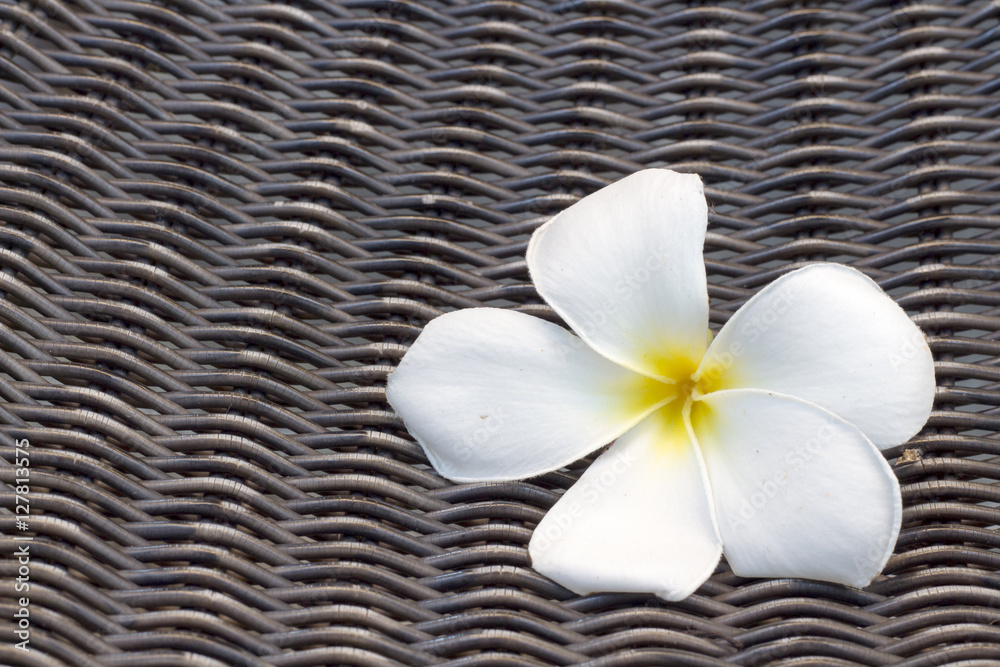 White flowers on a wicker chair White flowers on a wicker chair