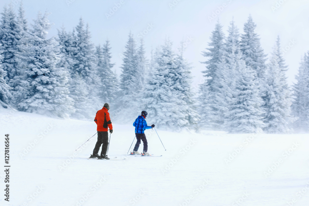 Skiers in the mountain forest