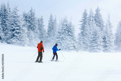 Skiers in the mountain forest
