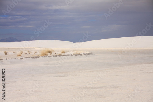 White sands desert