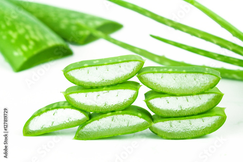 Wallpaper Mural Slice Aloe Vera (Aloe barbadensis Mill.,Star cactus, Aloe, Aloin, Jafferabad or Barbados) a very useful herbal medicine for skin care  Torontodigital.ca