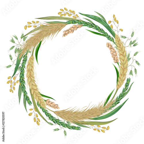 Wreath with cereals. Barley, wheat, rye, rice, millet and oat. Collection decorative floral design elements. Isolated elements. Vintage vector illustration in watercolor style.
