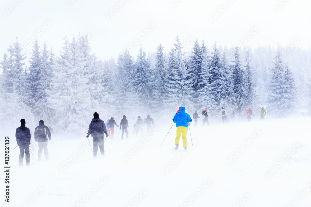 Skiers in the mountain forest