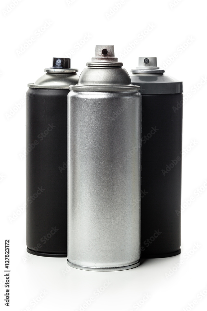 Spray paint dispenser Spray paint dispenser