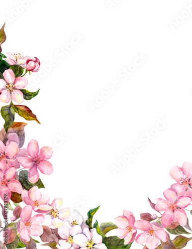 Floral retro background with blossom. White, pink apple flowers. Vintage watercolour