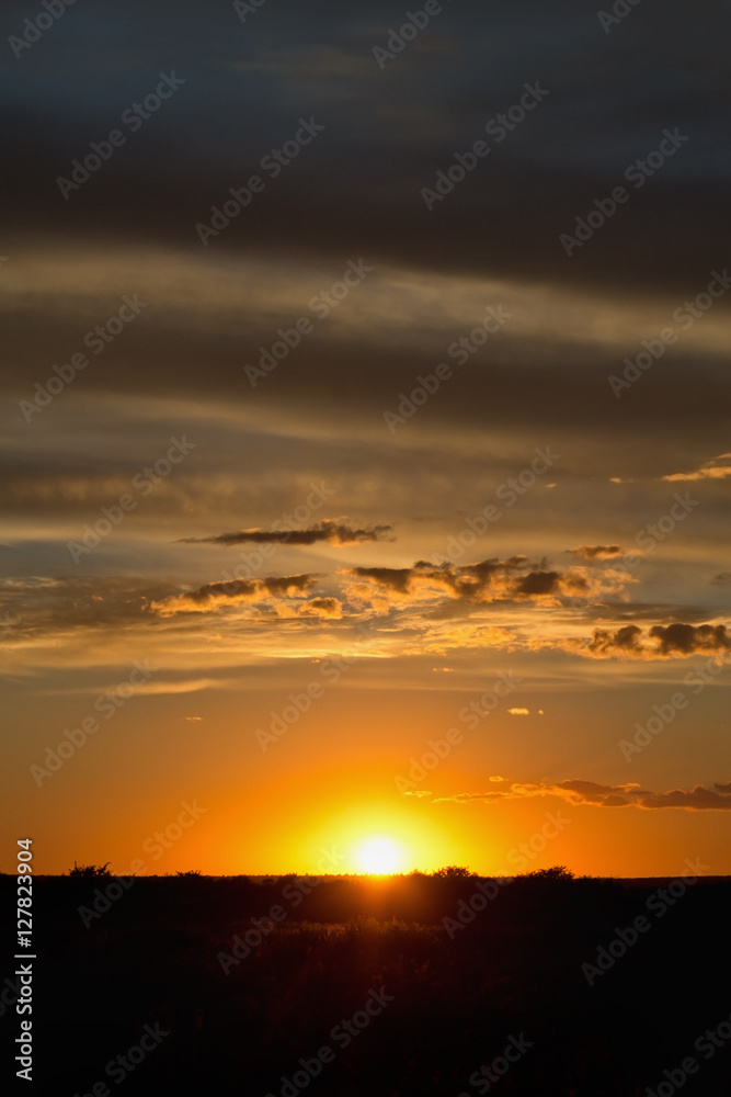 vertical landscape with the setting sun