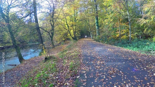 Runner in the forest in autumn sunny day