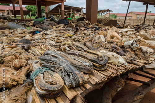 Parts of dead animals offered as cures and talismans on outdoor voodoo fetish market in Benin