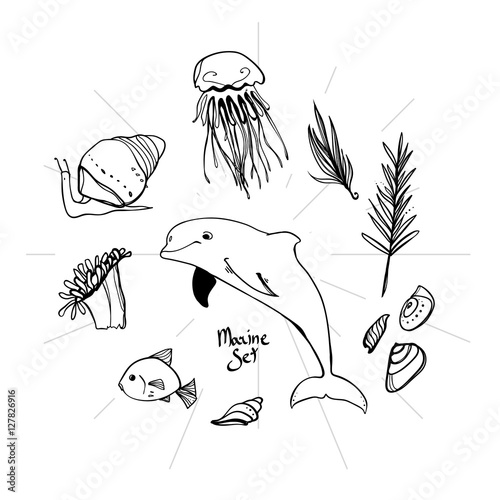 Set of marine icons. Jellyfish, fish, dolphin, snail, shell, seaweed. Cute doodle illustration. Drawn marine life.