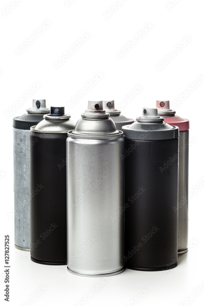 Spray paint dispenser Spray paint dispenser