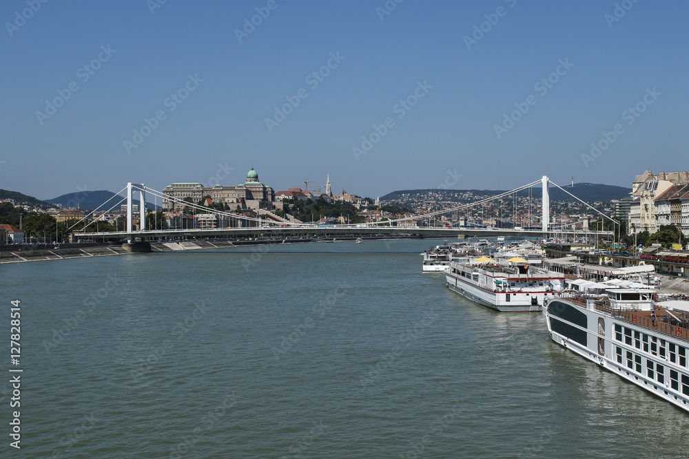 Budapest skyline with hills, Royal Castle, Elizabeth bridge across the Danube river with cruise ships 