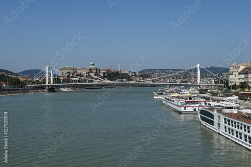 Budapest skyline with hills, Royal Castle, Elizabeth bridge across the Danube river with cruise ships  © irena iris szewczyk