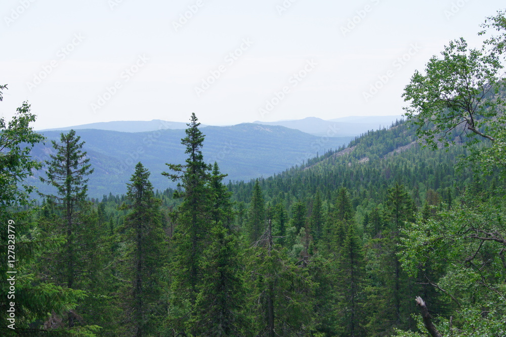 view of the wooded hills