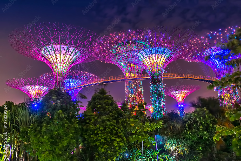 Supertree Grove, Gardens by the Bay, Singapur bei Nacht - obrazy, fototapety, plakaty 