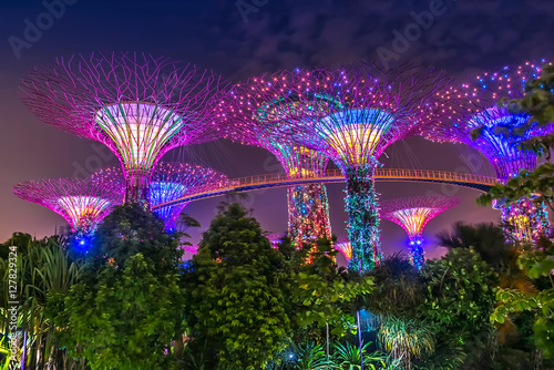 Supertree Grove, Gardens by the Bay, Singapur bei Nacht