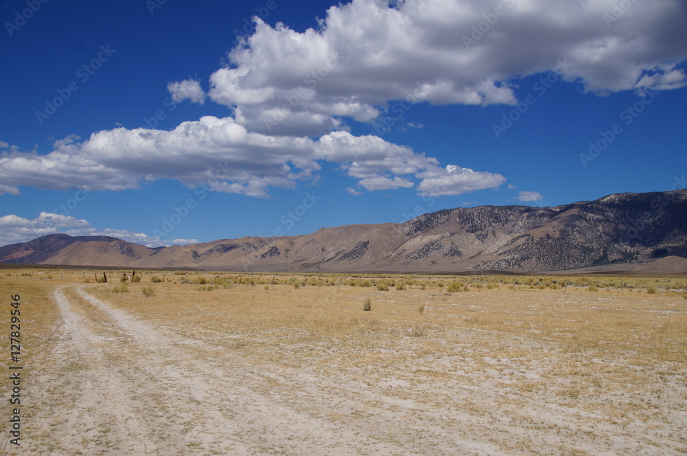 Tracks leading off into the distance in high desert with cloud covered mountain background