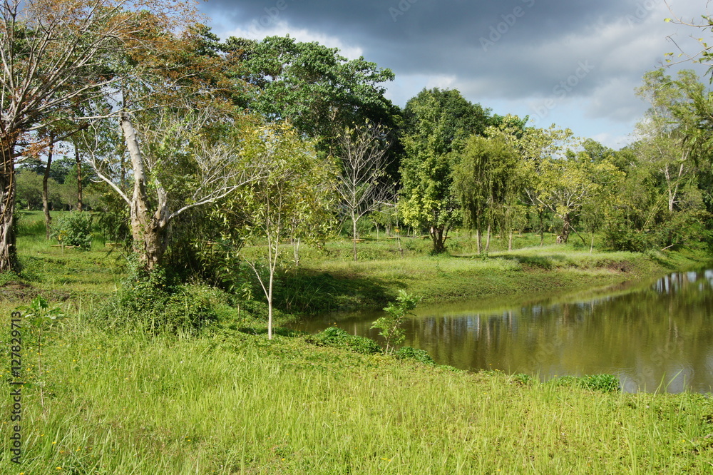 Fototapeta premium Beautiful monochrome landscape, pond in the forest