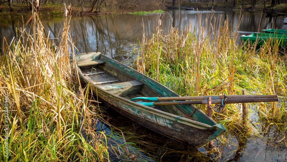 wooden boat in reeds on river
