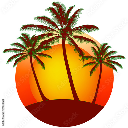 print from Palms silhouettes at orange sunset sky, vector background