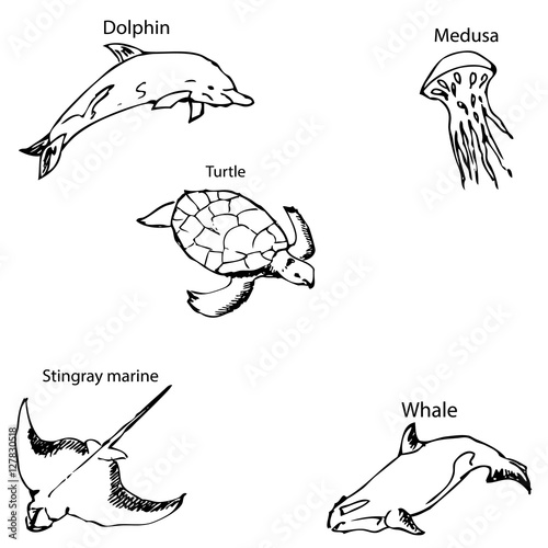 Marine inhabitants with names. Pencil sketch by hand.