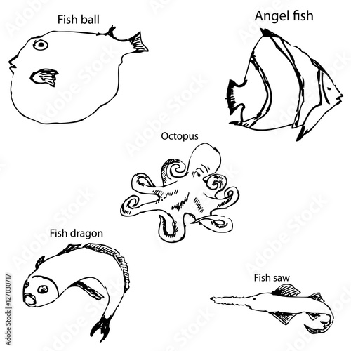 Marine inhabitants with names. Pencil sketch by hand.