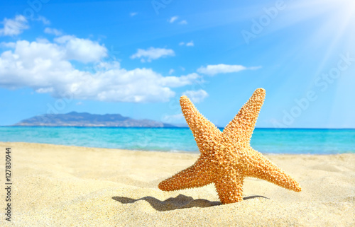 Starfish on the beach. Crete