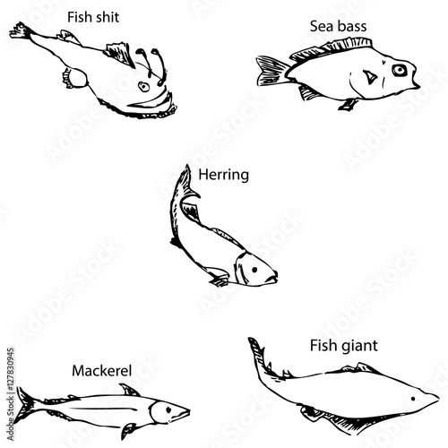 Marine inhabitants with names. Pencil sketch by hand.