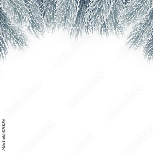 Christmas tree branches design element.. Christmas tree, greeting cards and banners. © lauritta