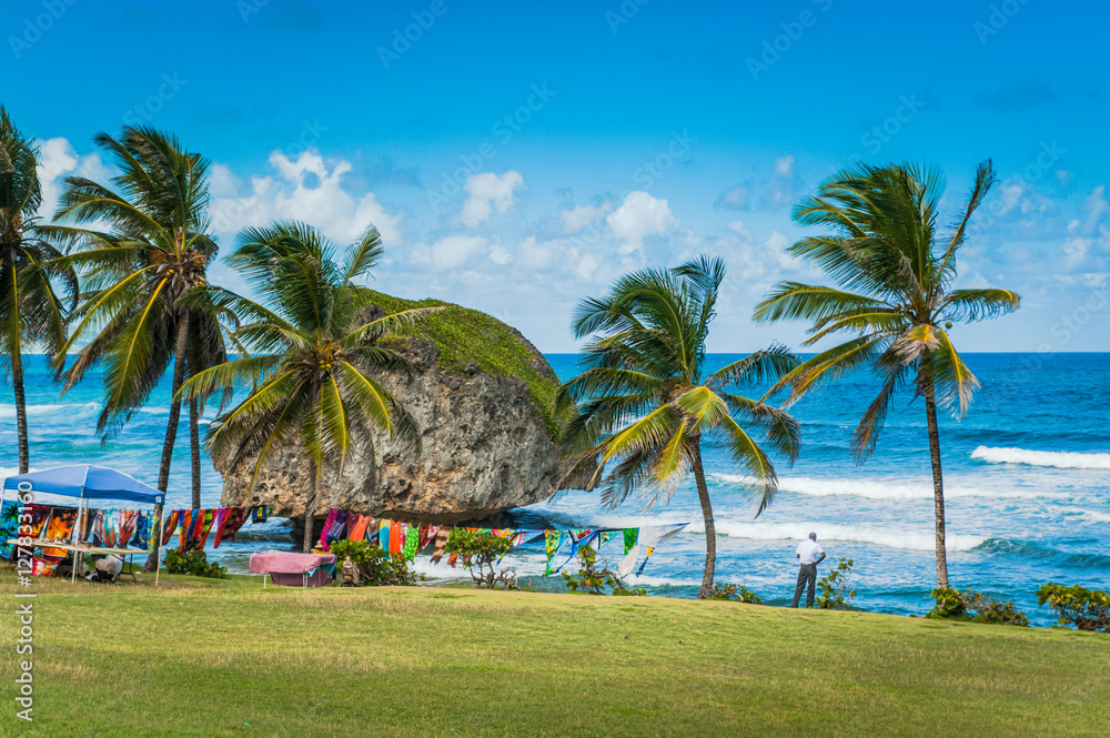 Barbados Shore Line in the Caribbean - obrazy, fototapety, plakaty 