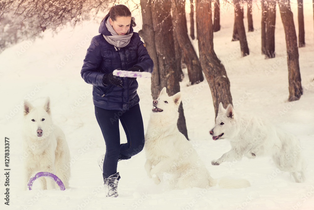 girl playing with a dog, winter walk